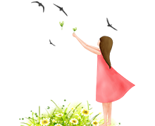 ceomaxpro主题批量上传工具（AI版）